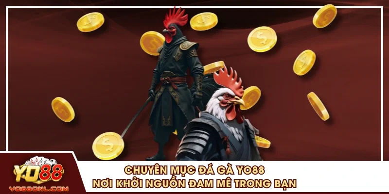 Chuyên Mục Đá Gà YO88 Nơi Khởi Nguồn Đam Mê Trong Bạn