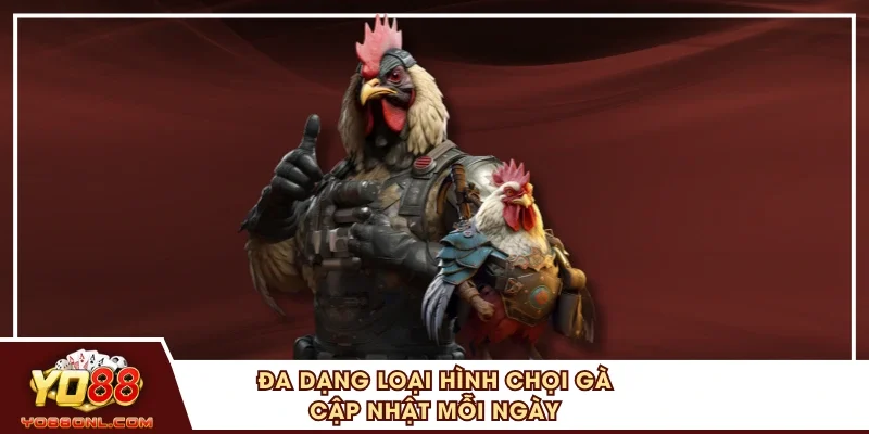Đa dạng loại hình chọi gà cập nhật mỗi ngày