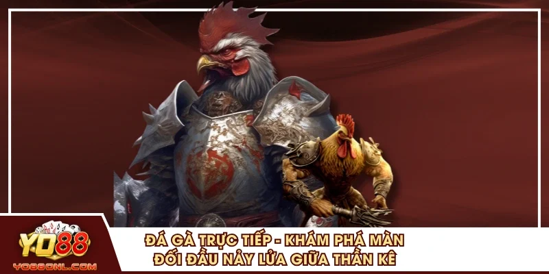 Đá Gà Trực Tiếp - Khám Phá Màn Đối Đầu Nảy Lửa Giữa Thần Kê