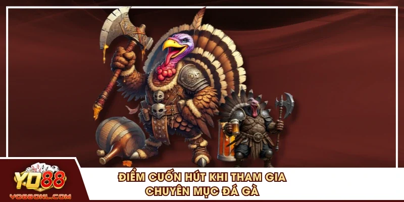 Điểm cuốn hút khi tham gia chuyên mục đá gà