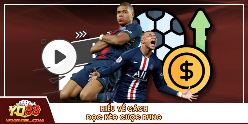Hiểu về cách đọc kèo cược rung