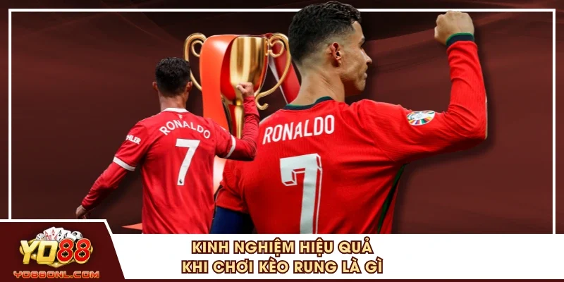Kinh nghiệm hiệu quả khi chơi kèo rung là gì