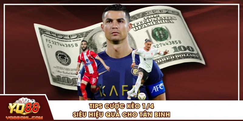 Tips cược kèo 1/4 siêu hiệu quả cho tân binh