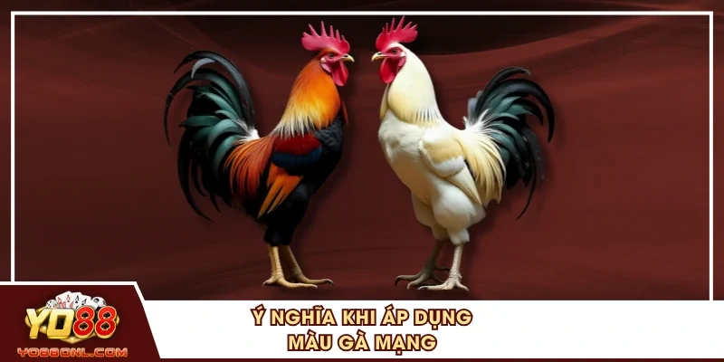 Ý nghĩa khi áp dụng màu gà mạng